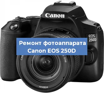 Замена затвора на фотоаппарате Canon EOS 250D в Санкт-Петербурге